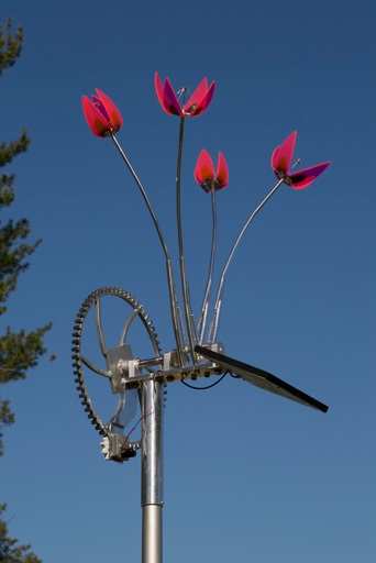 Morning Glories 2 image